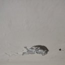 배곧호반써밋플레이스C2 이미지