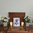 (주)펫콤 | 반려동물 죽었을때는 어떻게?? (합법장례식장, 장례절차, 장례비용 장례후기)