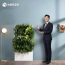 맑음그린 이미지