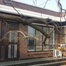 율촌면사무소 이미지