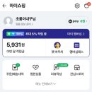 나투어리베 | 강아지 네이버 펫 바우처 행운이의 다양한 혜택과 사용후기 꿀팁