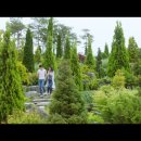 대신고등학교 이미지