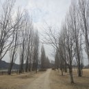 [여주여행] 겨울 강천섬 산책 후기 |한적해서 더 좋았던 여주 가볼만한곳