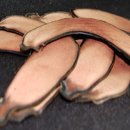 진솔한의원 이미지