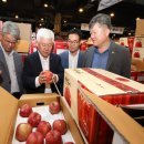 반딧불청과 이미지