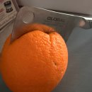 [글로벌 나이프] G-81 GS-102 GS-21/4 채소 나이프 캠핑 미니 중식도 스파츌라 #내돈내산 리뷰...