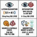 꼬미PC | 루테인 지아잔틴 아스타잔틴 제대로 고르는 법