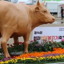 애환한우 이미지