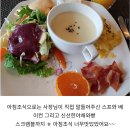 대운장 | 개인 수영장이 있는 곳 애견 펜션. 모나코 후기