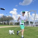 행복하개 이미지