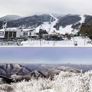 전국5대스키장 맛집 정복 이미지