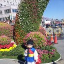 추부면사무소 이미지