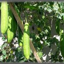 사암농장 이미지