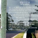 도시농업으로 힐링하기 이미지