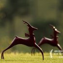 렉스필드 컨트리클럽 이미지