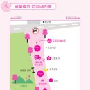 2024 경주 대릉원돌담길 벚꽃축제 이미지