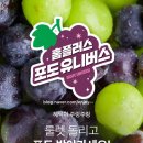 올소플러스 이미지