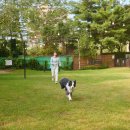 소노펫 보딩 이미지