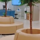 세종365의원 이미지