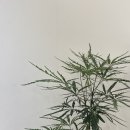만수2동-9 이미지
