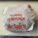 신월1파출소 화장실 | 런치메뉴 추천 토마토 치즈 비프 버거, 상하이 버거 칼로리 및 영양정보 (ft. 맥도날드 신월남부DT점)