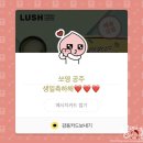 로로하우스 이미지