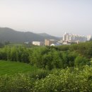 개방골 Daum카페