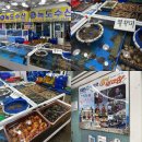 대천항 수산시장 맛집 녹도수산 보령 대천항에서 회 포장 후기