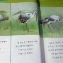 바른글씨 쓰기 이미지