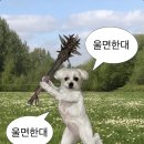 피오피스토리 | 날씨가 좋다