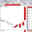 라온트레이딩 이미지