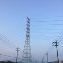 2016 대구 브레베 200km 후기