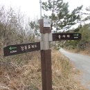 신지면-2 이미지