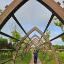 청해초등학교 이미지