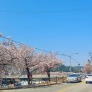 정읍연지시장(정읍제2시장) | 전북 정읍 여행 시장데이트 샘고을시장 구경 / 장날