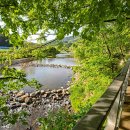 횡성자연휴양림 이미지