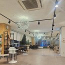 디어마이퍼피 | 디어마이퍼피 애견카페 후기｜모카와 해운대에서 보낸 조용한 하루