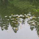 수목원관리사무소 이미지