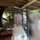 봉바위돌집민박 | [강원도 원주] 봉바위돌집 계곡 바베큐장 추천 🌊🌲⛺️ 평상 샤워실 후기✨