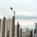 상업용 82 이미지