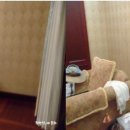 라헨느콘도미니엄 이미지