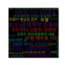 세라핌어린이집 이미지