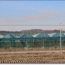 서운면사무소 이미지