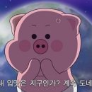 아포테케리 이미지
