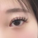 서면속눈썹