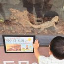 울산테마식물수목원 울산 실내동물원 울산놀거리 부산 근교 아이랑 갈만한 곳