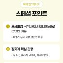 알파항공여행사