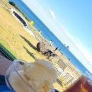 사우스사계 이미지