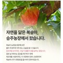 승주농장 이미지