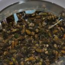 코스모스민박 이미지